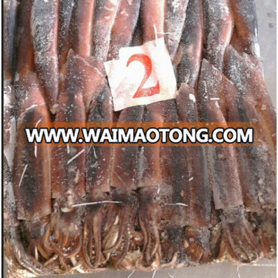 BQF Fresh 100-150g/pcs Frozen illex Squid Whole round