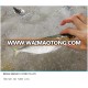 Frozen Seafood of Indian Mackerel Frozen Indian Mackerel in Stock