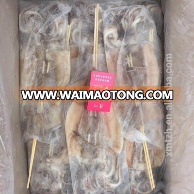 Frozen barbecue Argentina squid skewer