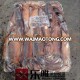 Squid frozen illex argentina squid PRICE