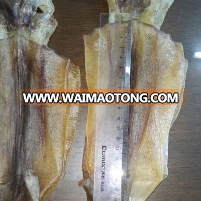 Fresh and high quality dried illex Squid Whole round