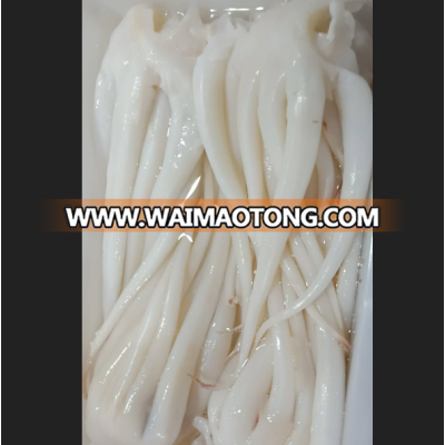 BQF Fresh Frozen Giant Squid tentacle